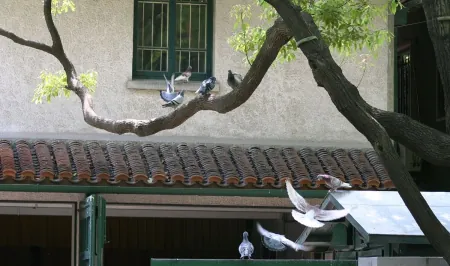 消之宝 消之宝